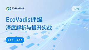 EcoVadis评级深度解析与提升实战